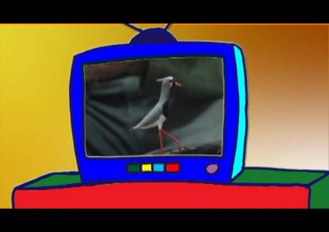 Historinhas Gaúchas  »  Prog 46  »  Blc 4