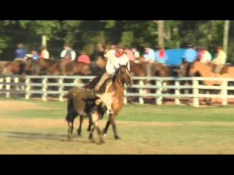 Rolantchê 2010  »  Laço 13