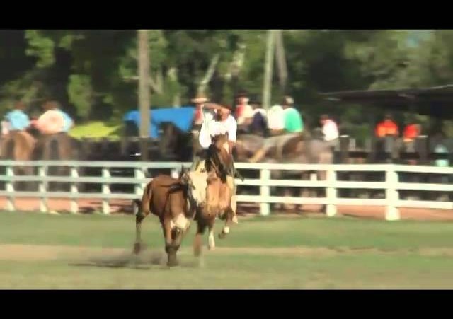 Rolantchê 2010  »  Laço 11