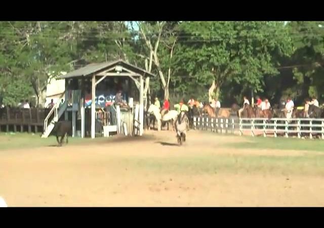 Rolantchê 2010  »  Laço 10