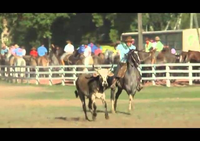 Rolantchê 2010  »  Laço 9