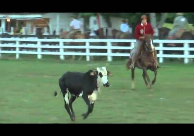 Rolantchê 2010  »  Laço 8