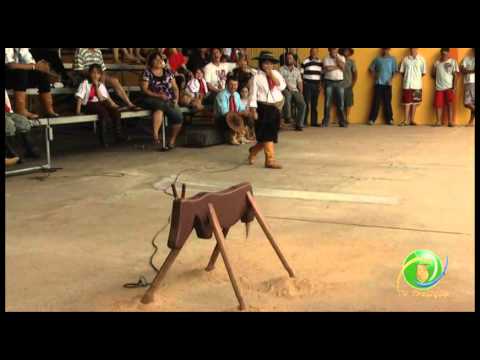 15º Rodeio Crioulo Nacional de Campeões  »  Vaca Parada 07  »  28.01