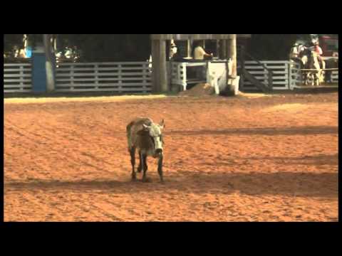 15º Rodeio Crioulo Nacional de Campeões  »  Raspadinha 02  »  27.01