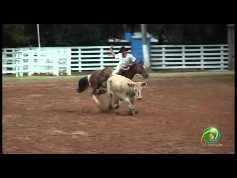 15º Rodeio Crioulo Nacional de Campeões  »  Raspadinha 01  »  26.01