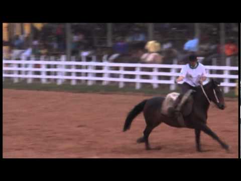 Triunfo em Festa 2010  »  17º Rodeio Estadual  »  Laço 9