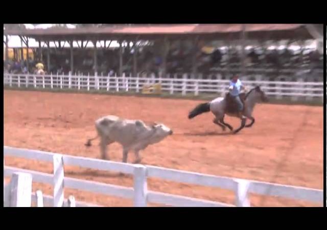 Triunfo em Festa 2010  »  17º Rodeio Estadual  »  Laço 6