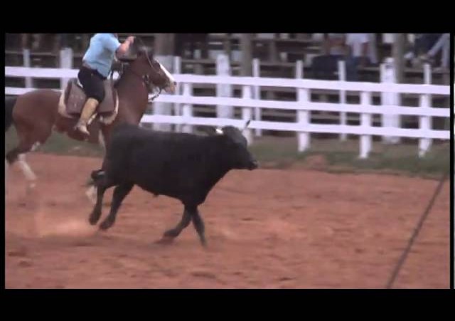 Triunfo em Festa 2010  »  17º Rodeio Estadual   »  Laço 12