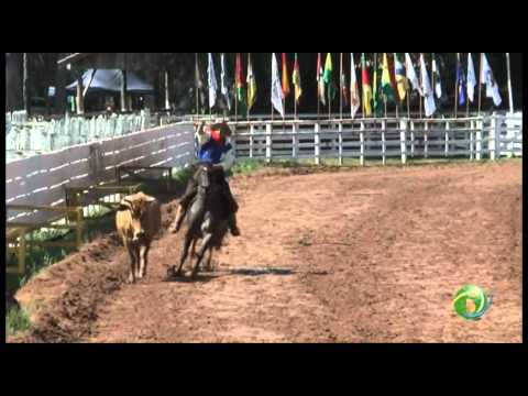 15º Rodeio Crioulo Nacional de Campeões  »  Final Laço Patrão  »  30.01 (domingo)