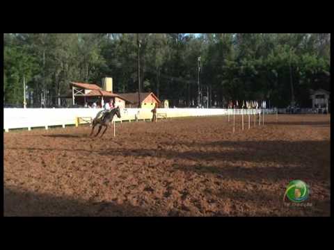 15º Rodeio Crioulo Nacional de Campeões  »  Prova de rédeas desafio  »  Feminina