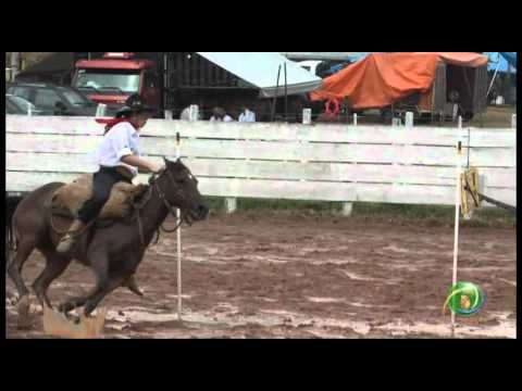 15º Rodeio Crioulo Nacional de Campeões  »  Prova de rédeas  »  Prenda adulta  »  29.01