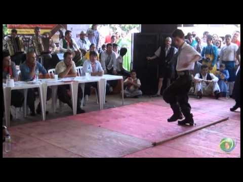 FENART 2011  »  Chula  »  Leonardo X Hiury