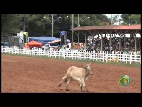 15º Rodeio Crioulo Nacional de Campeões  »  Laço Seleção Prenda  »  29.01 (sábado)