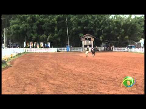 15º Rodeio Crioulo Nacional de Campeões  »  Laço Seleção Piá  »  29.01 (sábado)