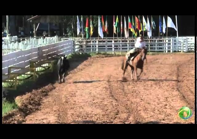 15º Rodeio Crioulo Nacional de Campeões  »  Laço Veterano  »  30.01 (domingo)