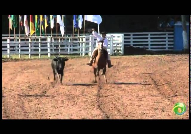 15º Rodeio Crioulo Nacional de Campeões  »  Laço Pai e Filho  »  30.01 (domingo)