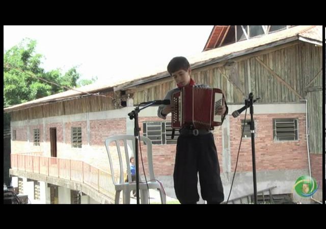 FENART 2011  »  Gaita Botão mais de 8 Baixos  »  Vinícius Pedro Teló