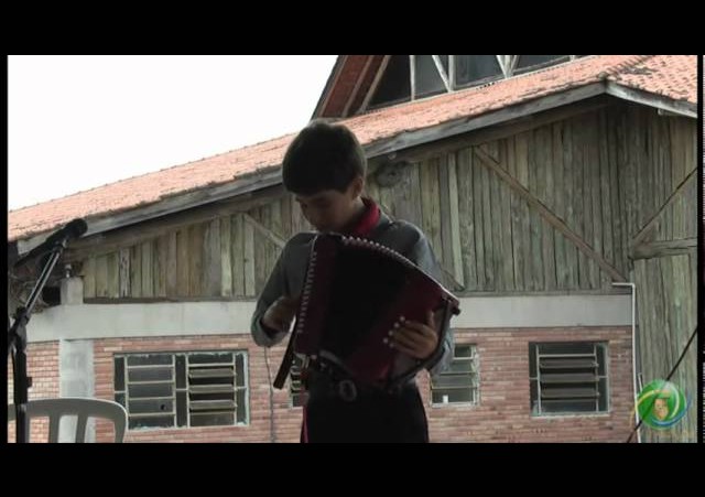 FENART 2011  »  Gaita até 8 Baixos  »  Vinícius Pedro Teló