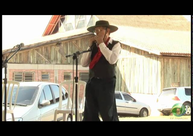 FENART 2011  »  Gaita de Boca Mista  »  Edson de Oliveira Machado