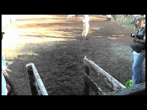 23º Fecars  »  Pealo Paleta  »  6ª RT