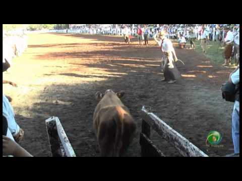 23º Fecars  »  Pealo Paleta  »  5ª RT