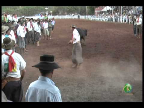 23ª Fecars »  Pealo Borcado  »  Final