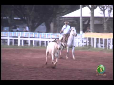 23ª Fecars »  Laço Executivos Municipais »  9ª RT