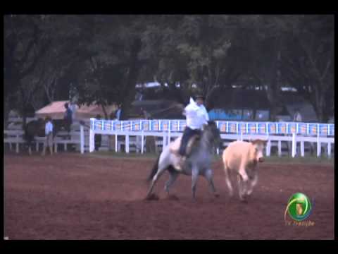 23ª Fecars »  Laço Executivos Municipais »  14ª RT