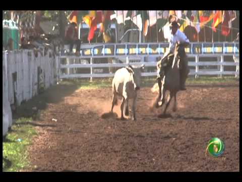 23ª Fecars »  Seleção Peão »  13ª RT  »  3ª volta