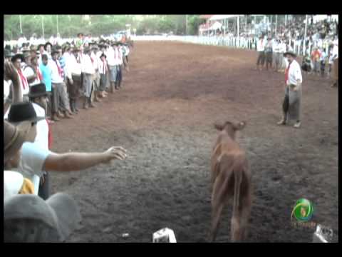 23ª Fecars »  Pealo Borcado  »  26ª RT