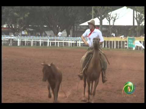 23ª Fecars »  Seleção Peão »  29ª RT  »  1ª volta