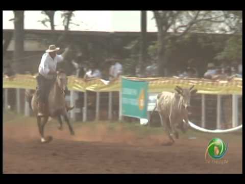 23ª Fecars »  Seleção Peão »  22ª RT  »  1ª volta