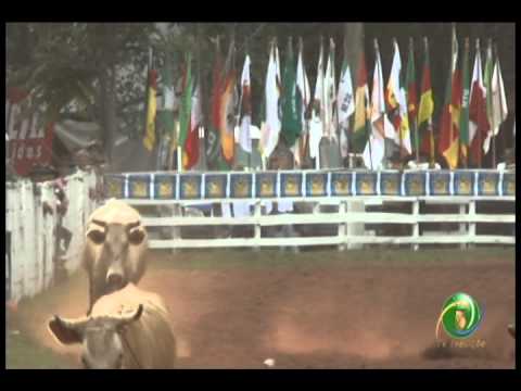 23ª Fecars »  Seleção Peão »  18ª RT  »  1ª volta