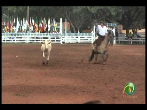 23ª Fecars »  Seleção Peão »  14ª RT  »  1ª volta