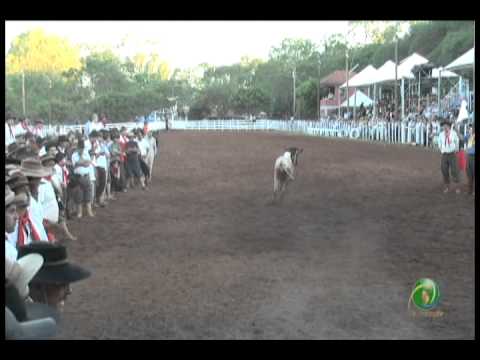 23ª Fecars »  Pealo Borcado  »  15ª RT