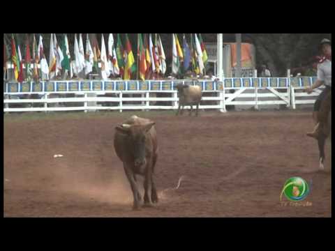 23ª Fecars »  Seleção Peão »  9ª RT  »  1ª volta