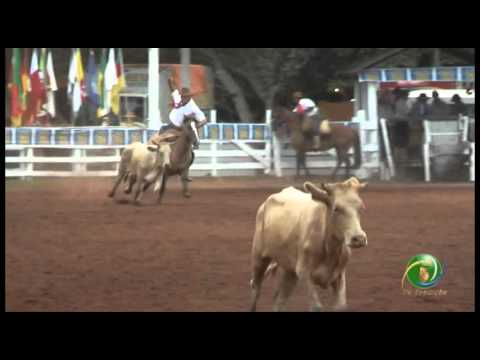 23ª Fecars »  Seleção Peão »  1ª RT  »  1ª volta