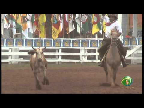 23ª Fecars »  Seleção Peão »  29ª RT »  2ª volta