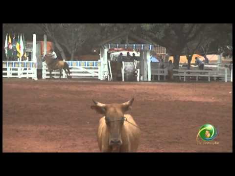 23ª Fecars »  Seleção Peão »  19ª RT »  2ª volta