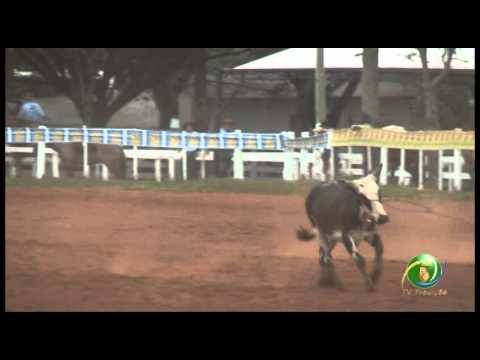 23ª Fecars »  Seleção Peão »  17ª RT »  2ª volta