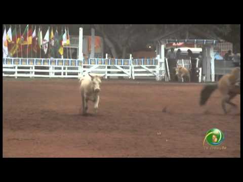 23º Fecars  »  Seleção Peão  »  13ª RT  »  2ª volta