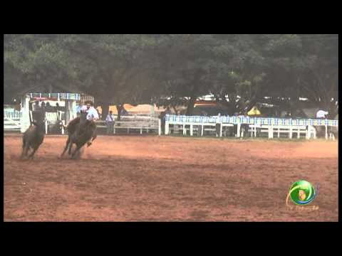 23º Fecars  »  Seleção Peão  »  10ª RT  »  2ª volta