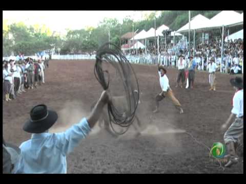 23ª Fecars »  Pealo Borcado  »  10ª RT