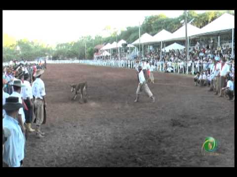 23ª Fecars »  Pealo Borcado  »  1ª RT