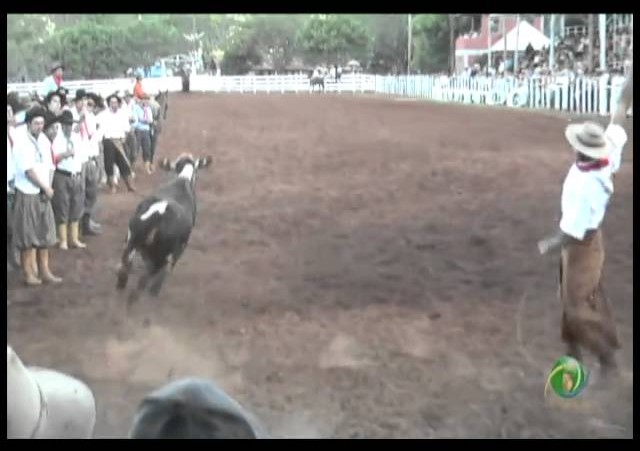 23ª Fecars »  Pealo Borcado  »  25ª RT