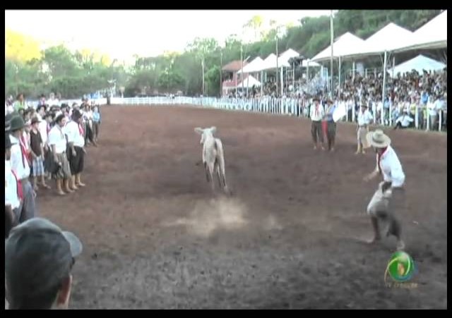 23ª Fecars »  Pealo Borcado  »  22ª RT