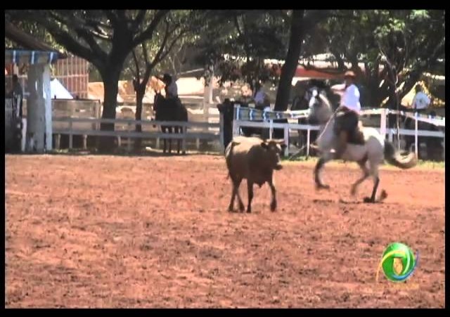 23ª Fecars »  Seleção Peão »  6ª RT  »  5ª volta