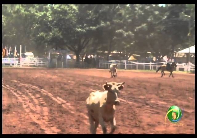 23ª Fecars »  Seleção Peão »  4ª RT  »  5ª volta