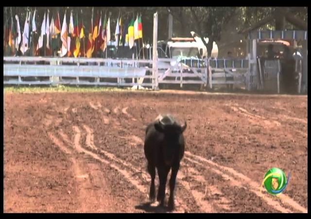 23ª Fecars »  Seleção Peão »  2ª RT  »  5ª volta