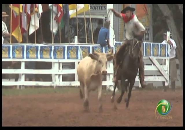 23ª Fecars »  Seleção Peão »  28ª RT  »  1ª volta